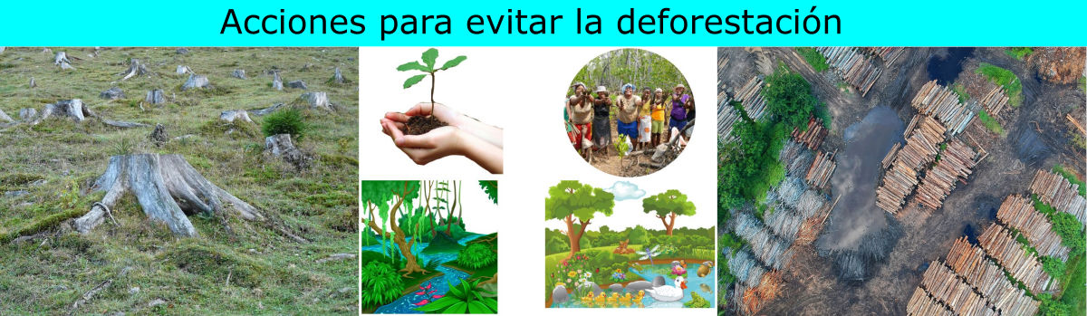 Protección de Especies